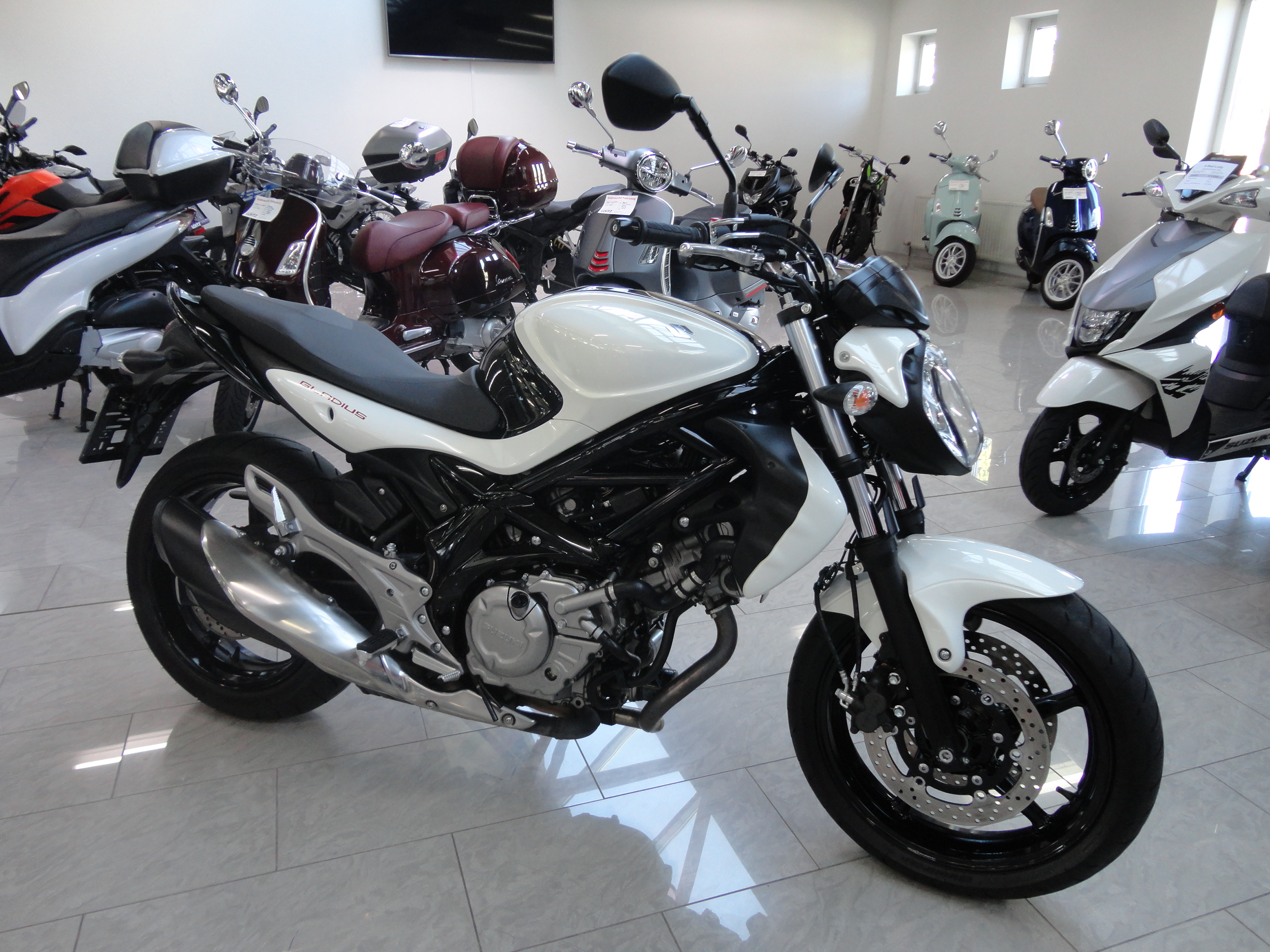SUZUKI Gladius 650